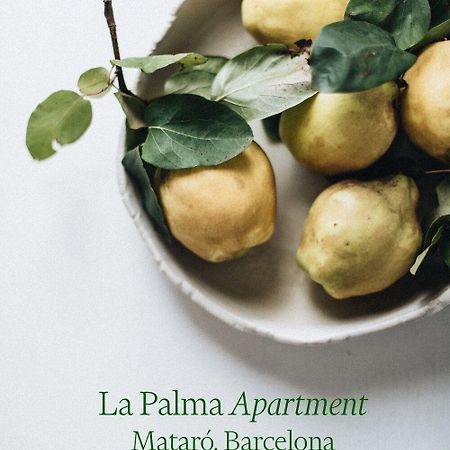 Apartamento ático en el casco antiguo Mataró Esterno foto